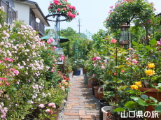 �l��̃o����