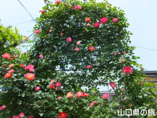 �l��̃o����