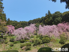 �쌴���̂������