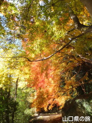 南原寺の紅葉