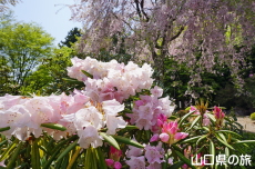 �쌴���̂��Ⴍ�Ȃ�
