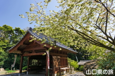 �쌴���̃E�R���U�N��