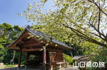 �쌴��