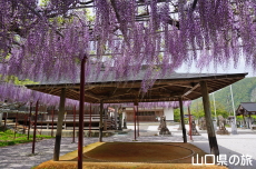 �������{�̓��I