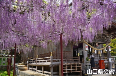 �������{�̓��I