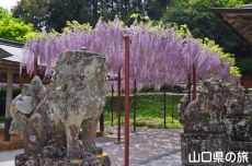 �������{�̓��I