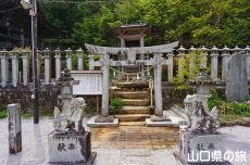 ���c�F�_����