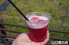 ���N�e��