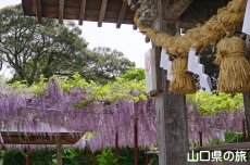 �������{�̓��I