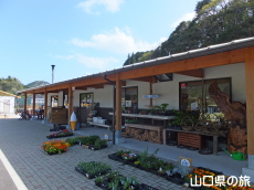 �ۂ�ۂ��̗�