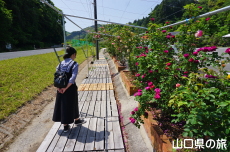 �o���̎U����