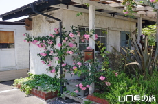 �\�m�_�R�[�q�[