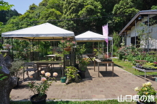 �ۂ�ۂ��̗��̋��L�X�y�[�X