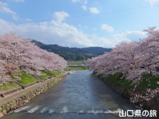 ������͔Ȃ̍�����