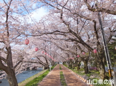 ������͔Ȃ̍�����