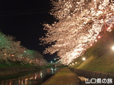 ������͔Ȃ̍����؃��C�g�A�b�v