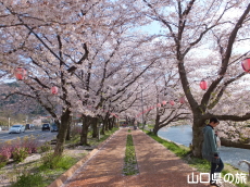 ������͔Ȃ̍�����