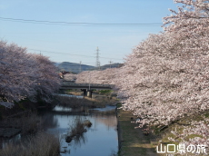 ������͔Ȃ̍�����