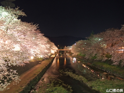 ������͔Ȃ̍����؃��C�g�A�b�v