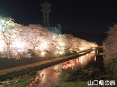 ������͔Ȃ̍����؃��C�g�A�b�v