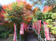 薬王寺の紅葉
