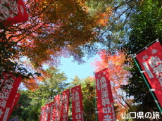 薬王寺の紅葉