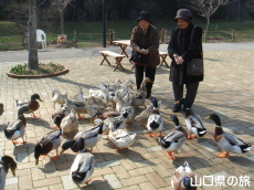 �J���������ς�