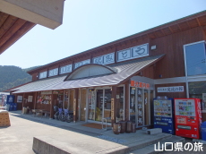 �s�s�Ɣ_���𗬂̊�