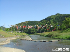 �e�������̌�̂ڂ�