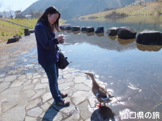 �J���ɃG�T���