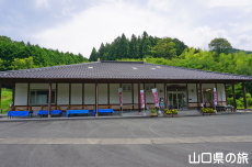 ���o���R�����𗬊�