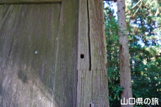 �����{�R�{�w