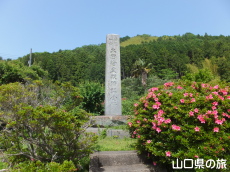 ��c�E�G����ՋL�O��