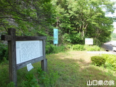 �ې����̐킢