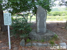 �}��\���m��