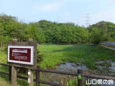 �񔽓c���ߒr�̎��n�A���Q��