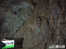 音羽の滝