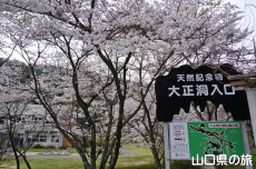 �吳���̍�