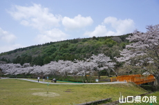 �吳���̍�
