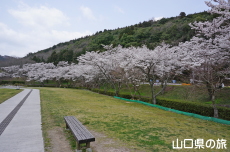 �吳���̍�