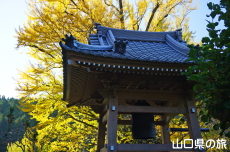 ���y���̑�C�`���E