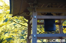 ���y���̑�C�`���E