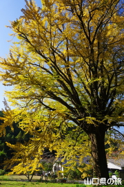 ���y���̑�C�`���E