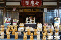 雲林寺の猫の置物