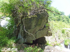 Ŋ