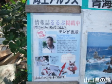 しょうちゃん紹介