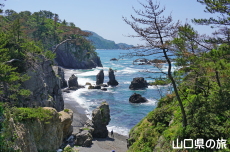 中の浦へ