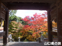 西念寺の紅葉