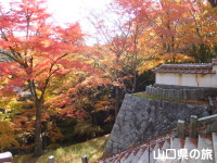 西念寺の紅葉