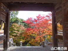 西念寺の紅葉